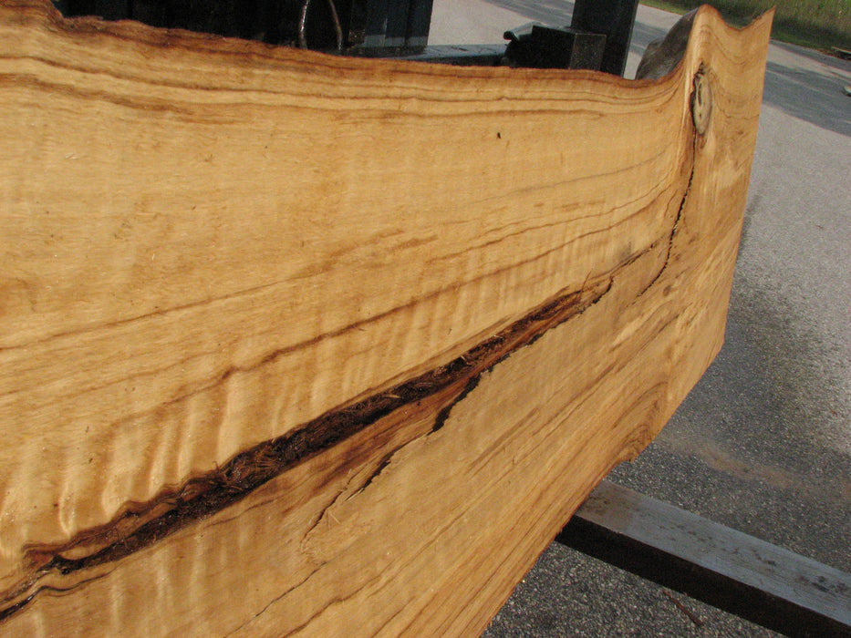 Cottonwood #7618(ROC) - 2-3/4" x 11" to 19" x 89" (Back side is 18"-26" wide) FREE SHIPPING within the Contiguous US. freeshipping - Big Wood Slabs