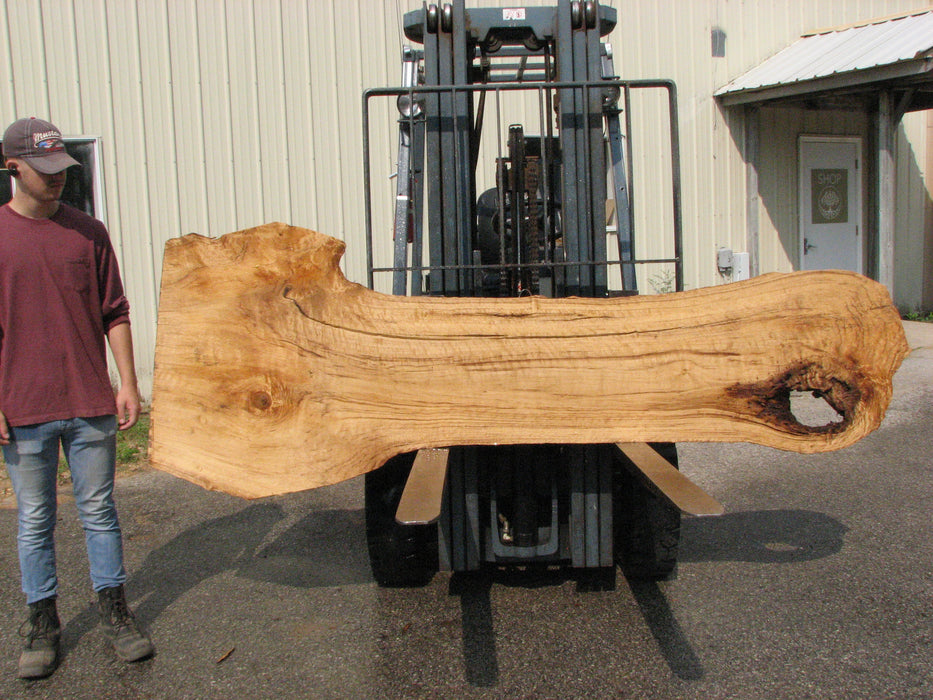 Cottonwood #7619(ROC) - 2-3/4" x 13" to 32" x 96" (Back side is 19"-37" wide) FREE SHIPPING within the Contiguous US. freeshipping - Big Wood Slabs