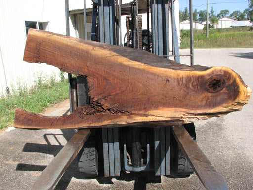 Walnut, American #7620(ROC) 2-1/2" x 15" to 33" x 74"- FREE SHIPPING within the Contiguous US. freeshipping - Big Wood Slabs