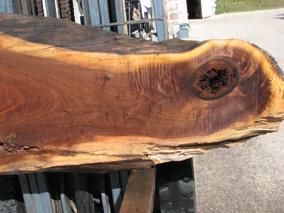 Walnut, American #7620(ROC) 2-1/2" x 15" to 33" x 74"- FREE SHIPPING within the Contiguous US. freeshipping - Big Wood Slabs