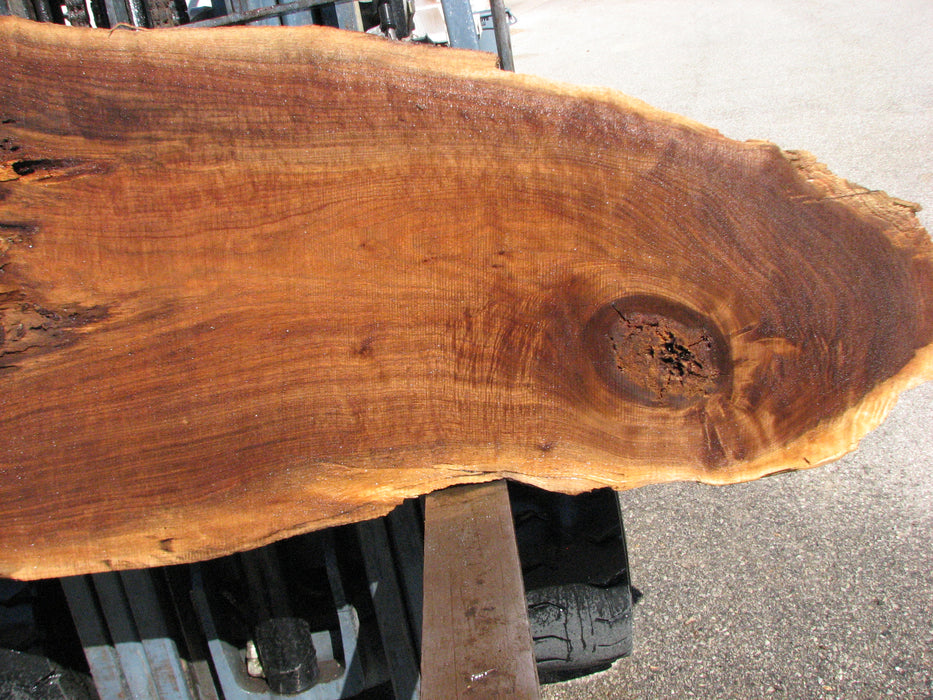 Walnut, American #7620(ROC) 2-1/2" x 15" to 33" x 74"- FREE SHIPPING within the Contiguous US. freeshipping - Big Wood Slabs