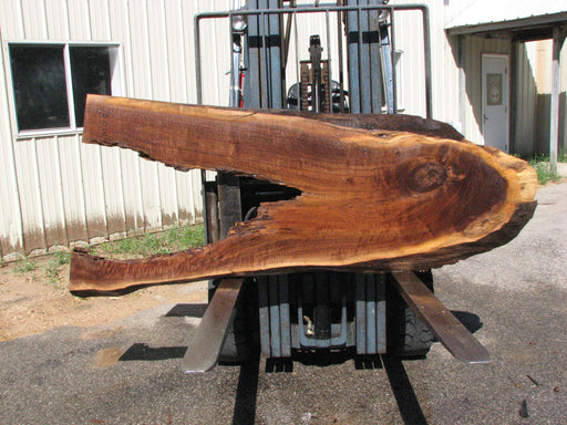 Walnut, American #7622(ROC) 2-1/2" x 19" to 35" x 78"- FREE SHIPPING within the Contiguous US. freeshipping - Big Wood Slabs