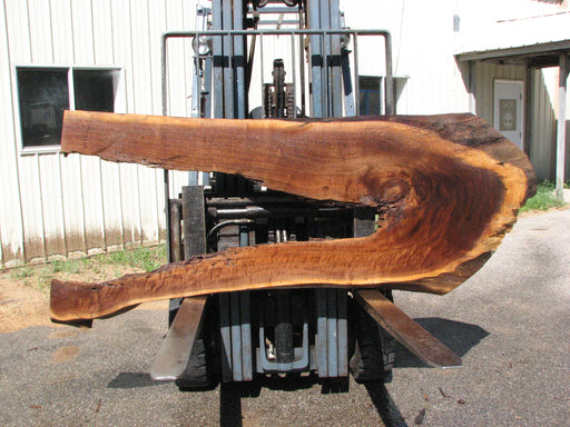 Walnut, American #7623(ROC) 2-1/2" x 27" to 37" x 84"- FREE SHIPPING within the Contiguous US. freeshipping - Big Wood Slabs