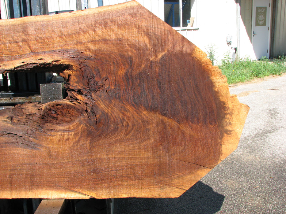 Walnut, American #7623(ROC) 2-1/2" x 27" to 37" x 84"- FREE SHIPPING within the Contiguous US. freeshipping - Big Wood Slabs