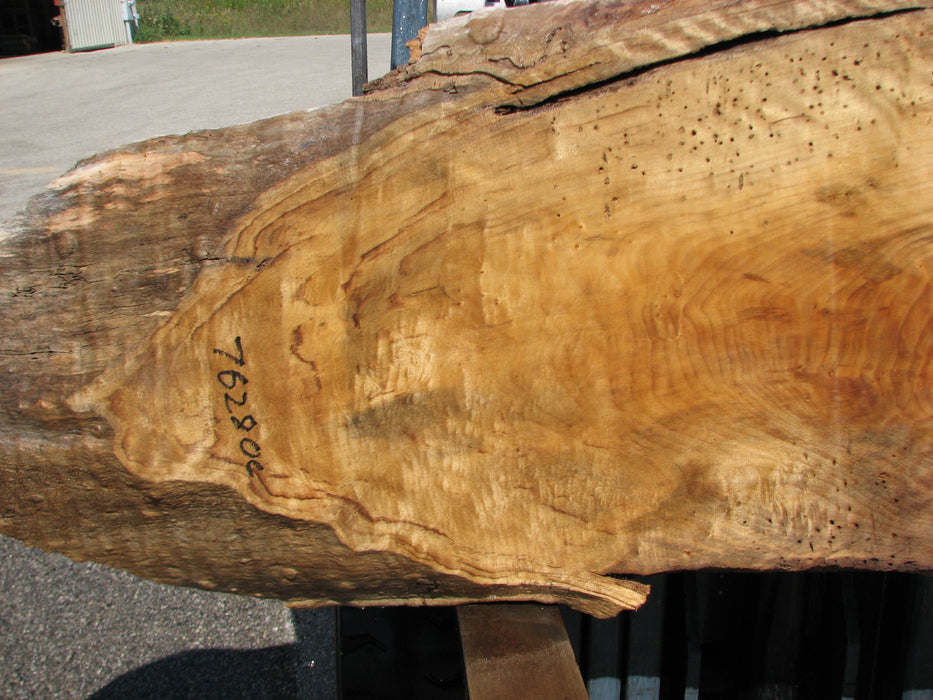 Cottonwood #7628(ROC) - 2-1/4" x 25" x 63" FREE SHIPPING within the Contiguous US. freeshipping - Big Wood Slabs
