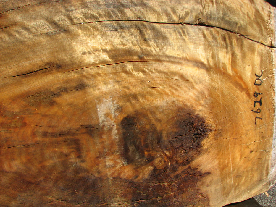Cottonwood #7629(ROC) - 2-1/4" x 23" x 46" FREE SHIPPING within the Contiguous US. freeshipping - Big Wood Slabs