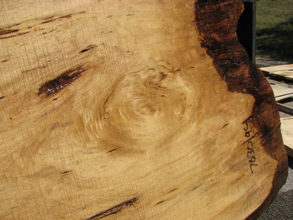 Cottonwood #7630(ROC) - 1-1/2" x 24" x 51" FREE SHIPPING within the Contiguous US. freeshipping - Big Wood Slabs