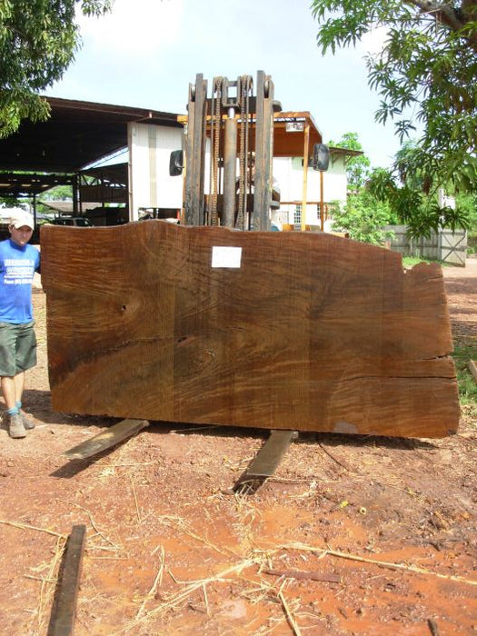 Ipe / Brazilian Walnut #3736- 2" x 35" to 47" x 119" FREE SHIPPING within the Contiguous US. freeshipping - Big Wood Slabs