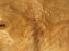 Cottonwood #7633(ROC) - 2-1/2" x 27" to 33" x 55" FREE SHIPPING within the Contiguous US. freeshipping - Big Wood Slabs