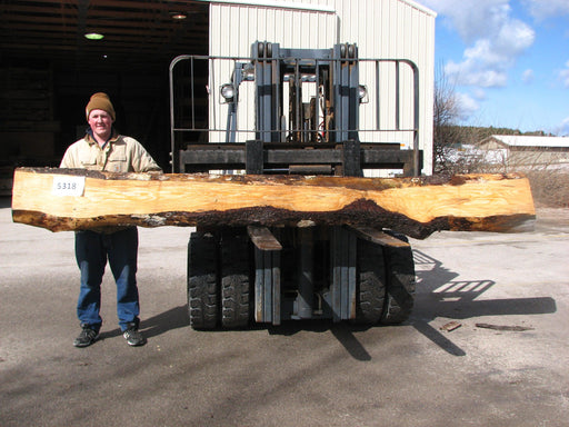 Spruce #5318- 3" x 6" to 12" x 149" FREE SHIPPING within the Contiguous US. freeshipping - Big Wood Slabs
