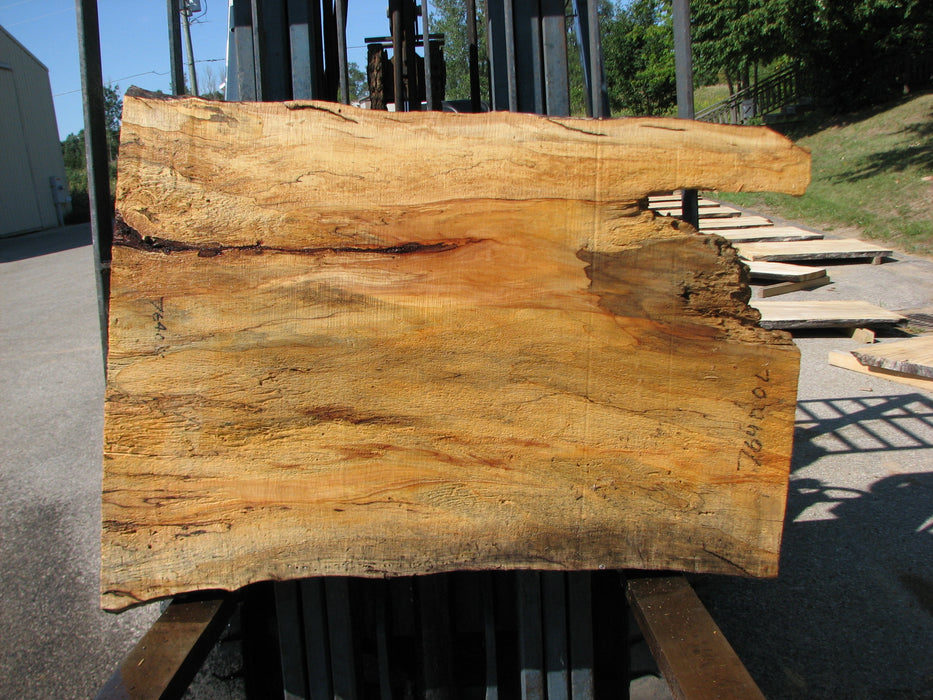Maple, Spalted #7640(ROC) - 2-1/2" x 30" to 35" x 46" FREE SHIPPING within the Contiguous US. freeshipping - Big Wood Slabs
