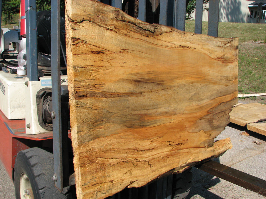 Maple, Spalted #7640(ROC) - 2-1/2" x 30" to 35" x 46" FREE SHIPPING within the Contiguous US. freeshipping - Big Wood Slabs