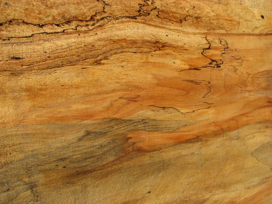 Maple, Spalted #7641(ROC) - 2-1/2" x 32" to 37" x 46" FREE SHIPPING within the Contiguous US. freeshipping - Big Wood Slabs