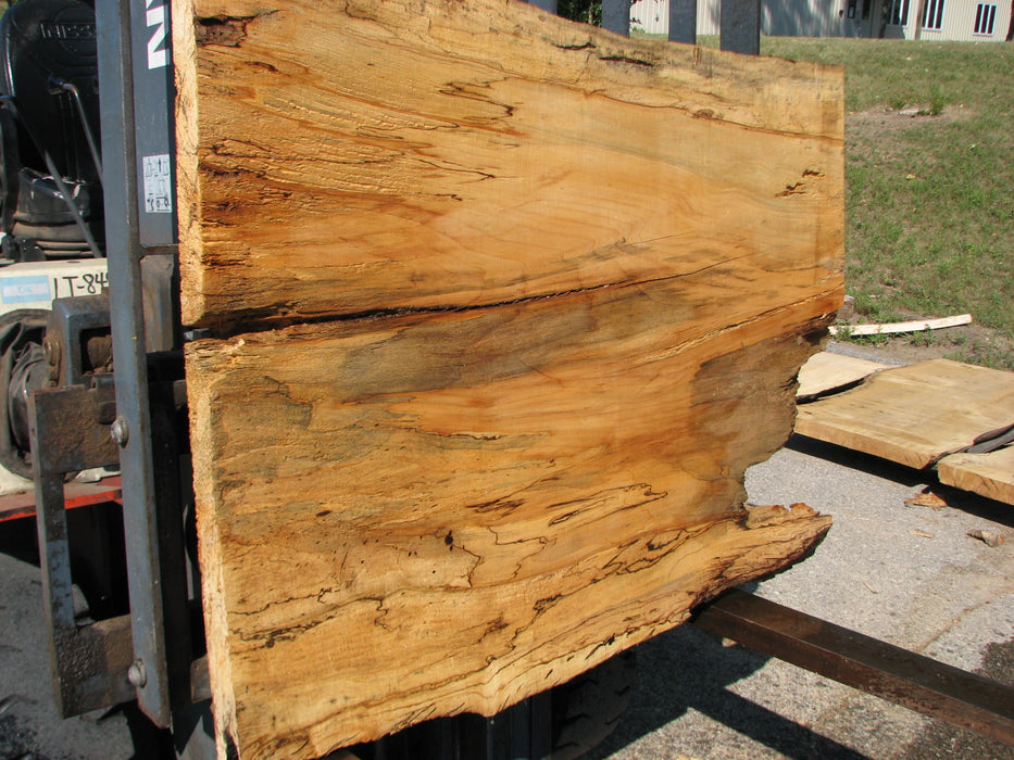 Maple, Spalted #7641(ROC) - 2-1/2" x 32" to 37" x 46" FREE SHIPPING within the Contiguous US. freeshipping - Big Wood Slabs