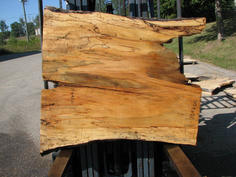 Maple, Spalted #7642(ROC) - 2-1/2" x 34" to 42" x 46" FREE SHIPPING within the Contiguous US. freeshipping - Big Wood Slabs