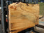 Maple, Spalted #7643(ROC) - 2-1/2" x 19" to 24" x 36" FREE SHIPPING within the Contiguous US. freeshipping - Big Wood Slabs