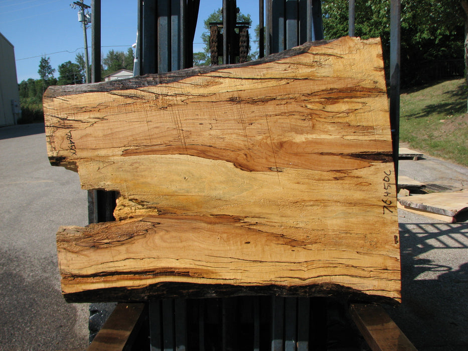 Maple, Spalted #7645(ROC) - 2-1/2" x 26" to 35" x 45" FREE SHIPPING within the Contiguous US. freeshipping - Big Wood Slabs