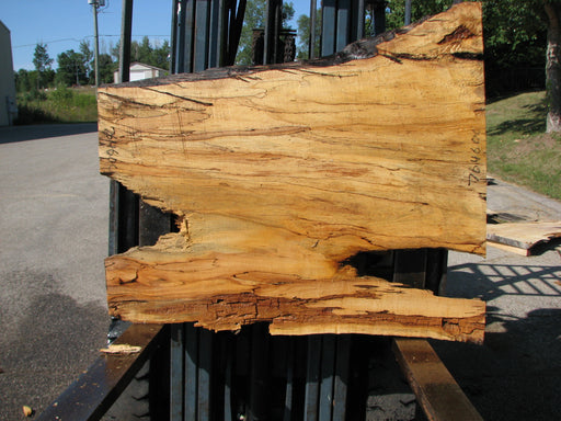 Maple, Spalted #7646(ROC) - 2-1/2" x 30" to 41" x 46" FREE SHIPPING within the Contiguous US. freeshipping - Big Wood Slabs