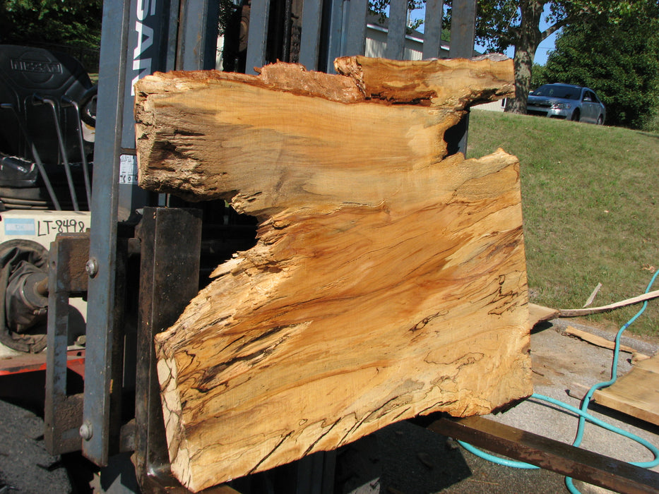 Maple, Spalted #7646(ROC) - 2-1/2" x 30" to 41" x 46" FREE SHIPPING within the Contiguous US. freeshipping - Big Wood Slabs