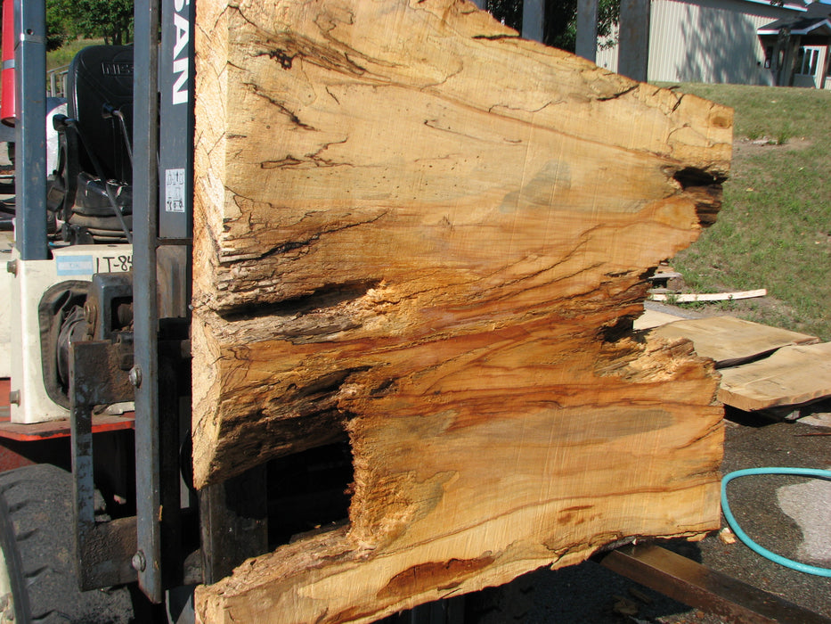 Maple, Spalted #7647(ROC) - 4" x 32" to 44" x 46" FREE SHIPPING within the Contiguous US. freeshipping - Big Wood Slabs