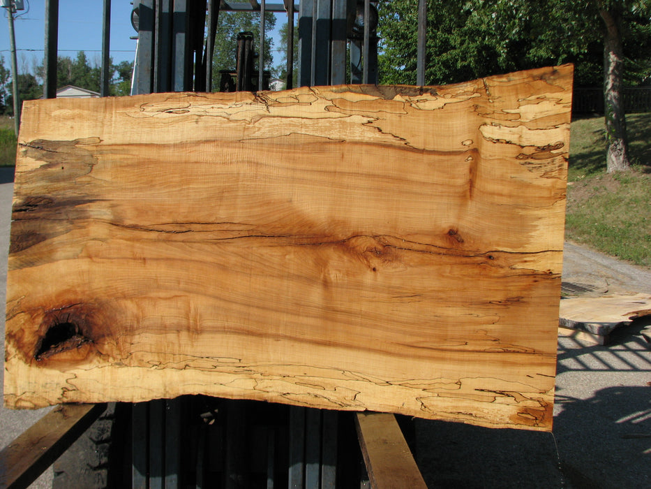 Maple, Spalted #7649(ROC) - 2-1/2" x 30" to 37" x 59" FREE SHIPPING within the Contiguous US. freeshipping - Big Wood Slabs