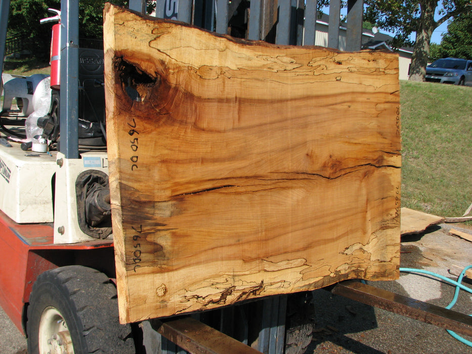 Maple, Spalted #7650(ROC) - 2-1/4" x 32" to 40" x 55" FREE SHIPPING within the Contiguous US. freeshipping - Big Wood Slabs
