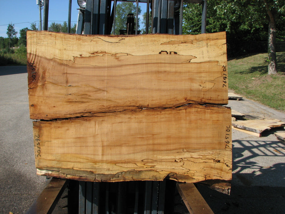 Maple, Spalted #7651(ROC) - 2-3/8" x 36" to 38" x 50" FREE SHIPPING within the Contiguous US. freeshipping - Big Wood Slabs