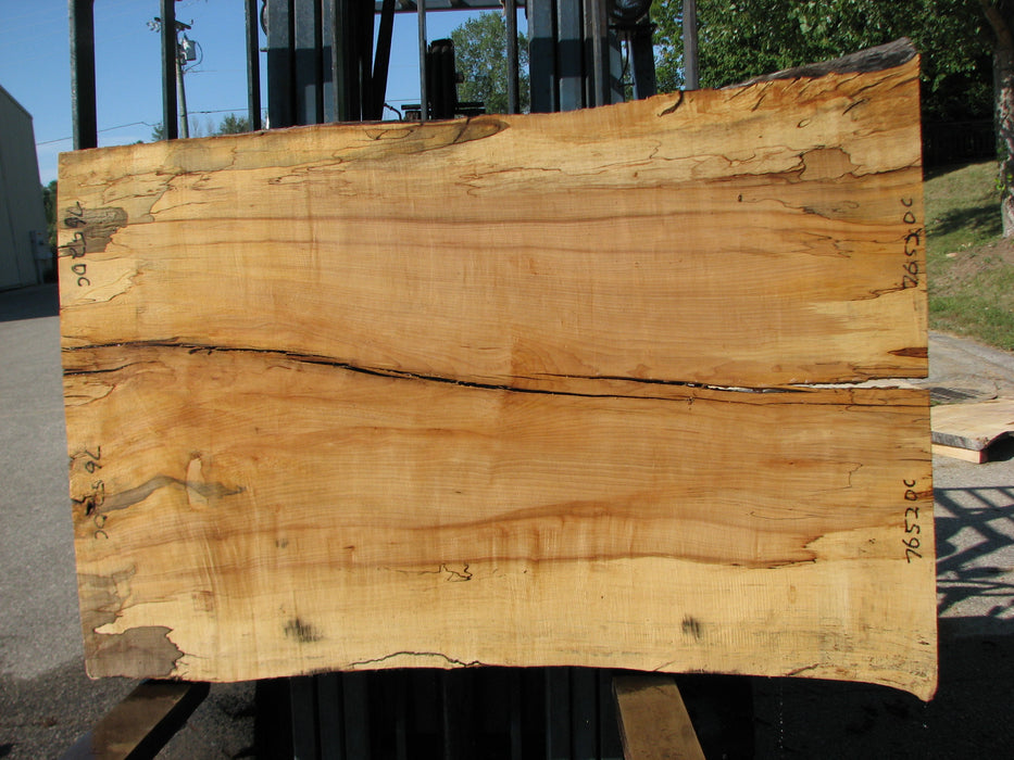 Maple, Spalted #7652(ROC) - 1-1/2" x 35" to 41" x 56" FREE SHIPPING within the Contiguous US. freeshipping - Big Wood Slabs