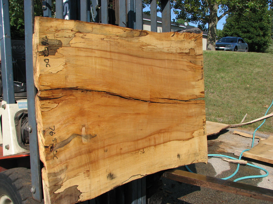 Maple, Spalted #7652(ROC) - 1-1/2" x 35" to 41" x 56" FREE SHIPPING within the Contiguous US. freeshipping - Big Wood Slabs