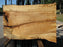 Maple, Spalted #7652(ROC) - 1-1/2" x 35" to 41" x 56" FREE SHIPPING within the Contiguous US. freeshipping - Big Wood Slabs