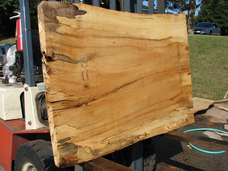 Maple, Spalted #7653(ROC) - 2-1/2" x 33" to 39" x 56" FREE SHIPPING within the Contiguous US. freeshipping - Big Wood Slabs