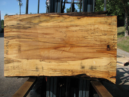 Maple, Spalted #7655(ROC) - 2-1/2" x 28" to 34" x 56" FREE SHIPPING within the Contiguous US. freeshipping - Big Wood Slabs
