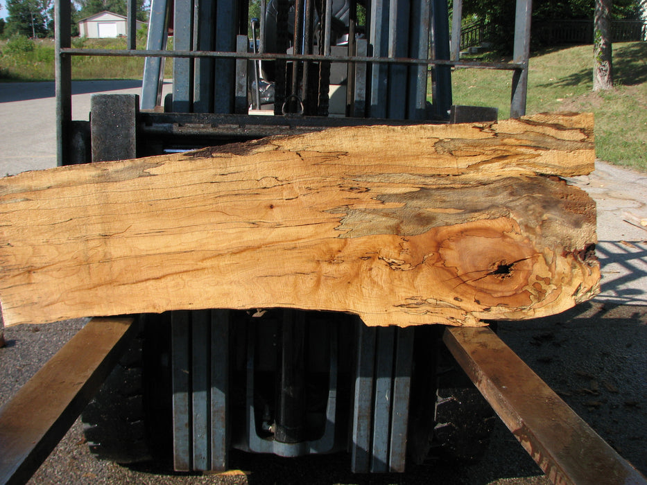 Maple, Spalted #7657(ROC) - 1-1/4" x 11" to 17" x 54" FREE SHIPPING within the Contiguous US. freeshipping - Big Wood Slabs