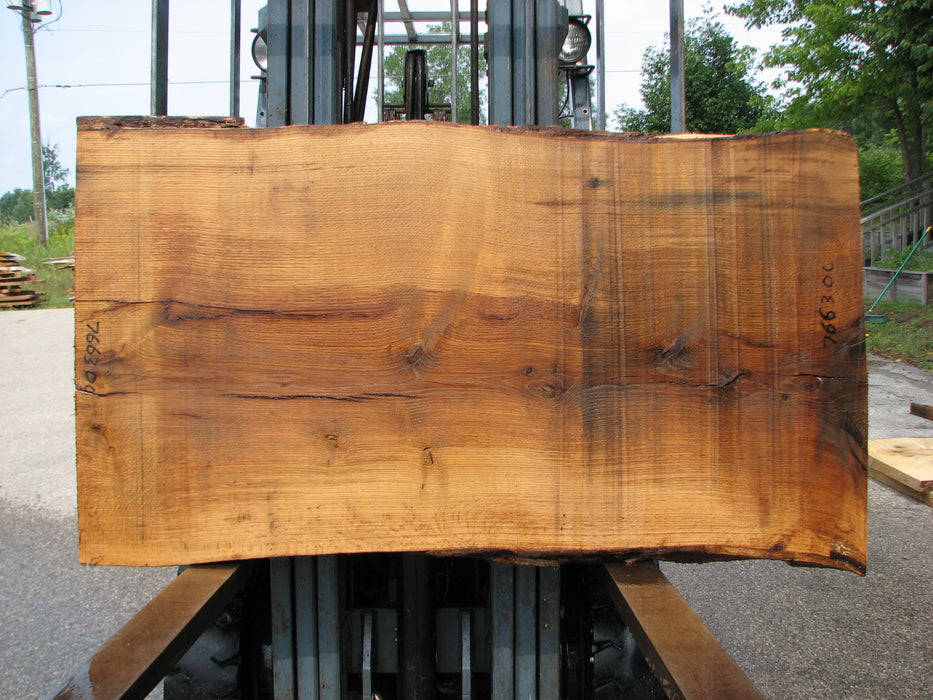 Oak, White #7663(ROC) - 1-3/4" x 31" - 36" x 60" FREE SHIPPING within the Contiguous US. freeshipping - Big Wood Slabs