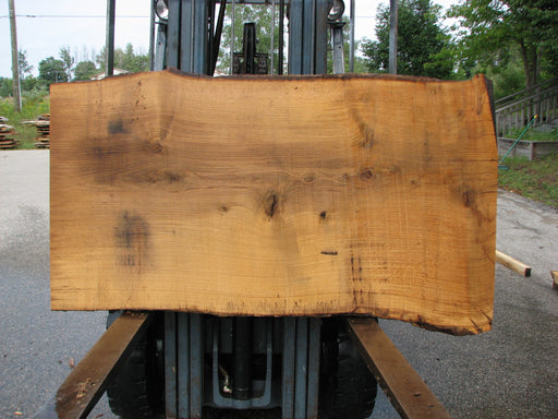 Oak, White #7664(ROC) - 2-1/2" x 32" - 35" x 63" FREE SHIPPING within the Contiguous US. freeshipping - Big Wood Slabs