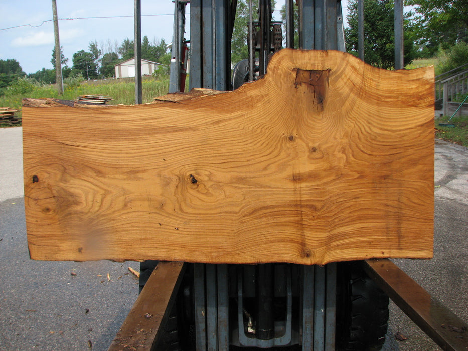 Oak, White #7665(ROC) - 2-1/2" x 21"- 30" x 63" FREE SHIPPING within the Contiguous US. freeshipping - Big Wood Slabs