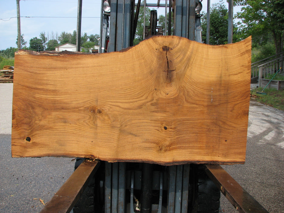 Oak, White #7667(ROC) - 2-3/8" x 25"- 33" x 62" FREE SHIPPING within the Contiguous US. freeshipping - Big Wood Slabs