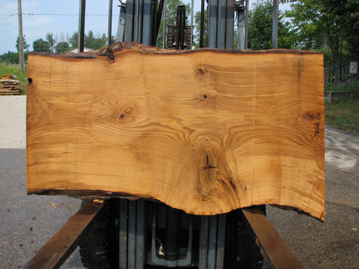 Oak, White #7668(ROC) - 2-1/2" x 27"- 35" x 61" FREE SHIPPING within the Contiguous US. freeshipping - Big Wood Slabs