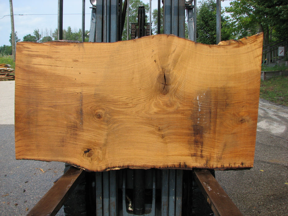 Oak, White #7668(ROC) - 2-1/2" x 27"- 35" x 61" FREE SHIPPING within the Contiguous US. freeshipping - Big Wood Slabs