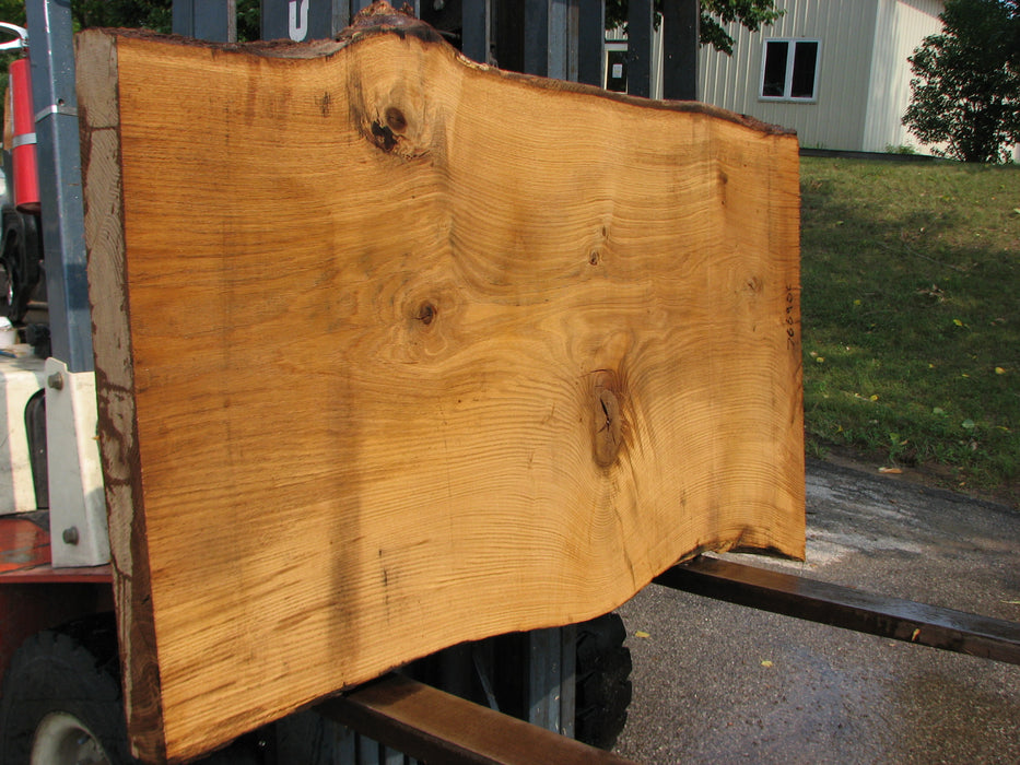 Oak, White #7669(ROC) - 2-1/2" x 31"- 36" x 61" FREE SHIPPING within the Contiguous US. freeshipping - Big Wood Slabs
