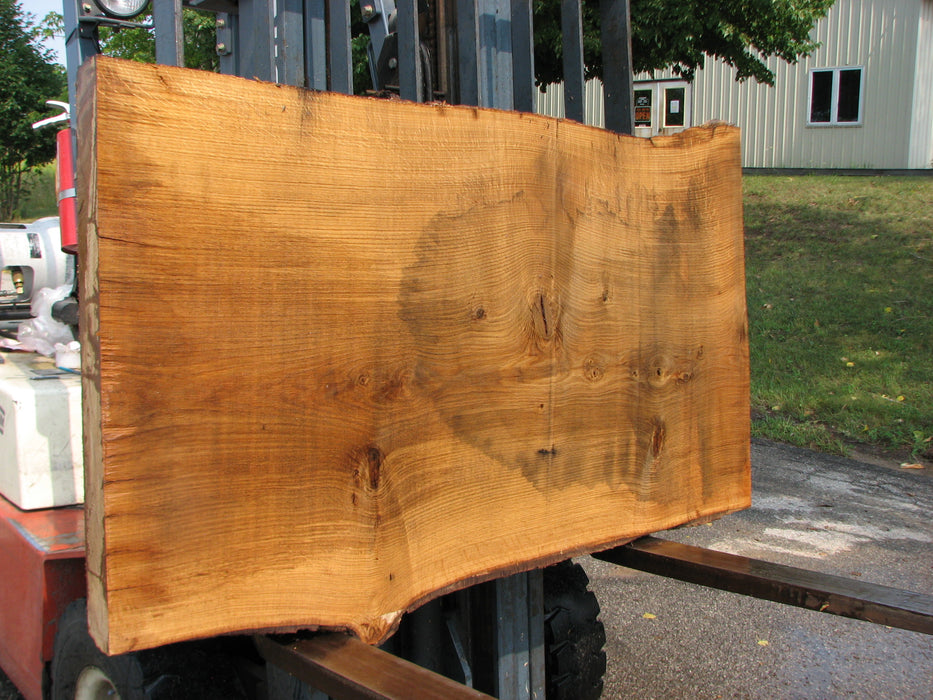 Oak, White #7669(ROC) - 2-1/2" x 31"- 36" x 61" FREE SHIPPING within the Contiguous US. freeshipping - Big Wood Slabs