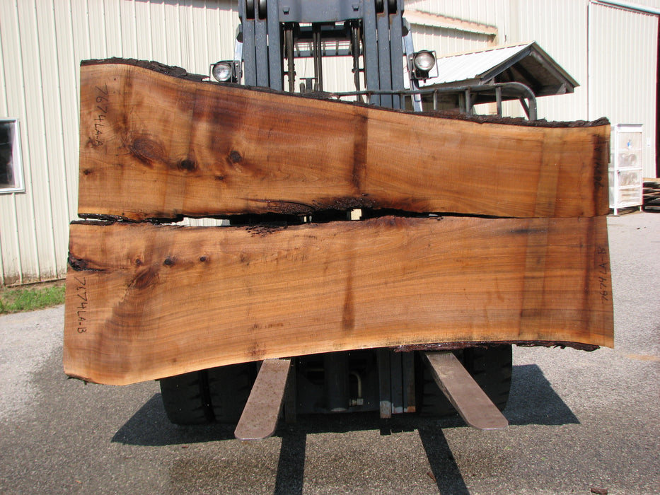 Walnut, American #7674(LA) 2-1/2" x 38" to 57-1/2" x 96" - FREE SHIPPING within the Contiguous US. freeshipping - Big Wood Slabs