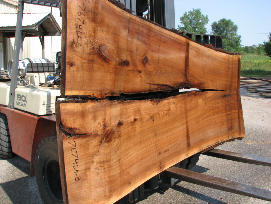 Walnut, American #7674(LA) 2-1/2" x 38" to 57-1/2" x 96" - FREE SHIPPING within the Contiguous US. freeshipping - Big Wood Slabs