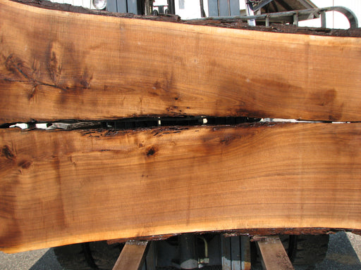 Walnut, American #7675(LA) 2-1/2" x 39-3/4" to 58" x 96" - FREE SHIPPING within the Contiguous US. freeshipping - Big Wood Slabs