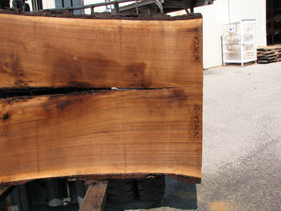 Walnut, American #7675(LA) 2-1/2" x 39-3/4" to 58" x 96" - FREE SHIPPING within the Contiguous US. freeshipping - Big Wood Slabs