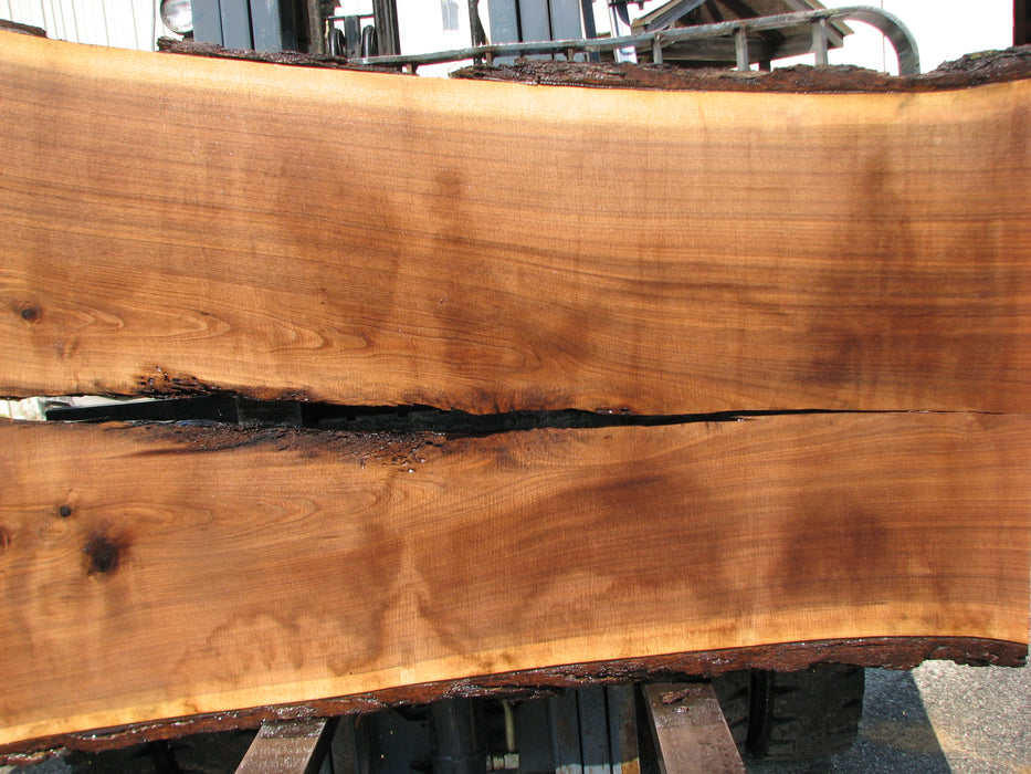 Walnut, American #7675(LA) 2-1/2" x 39-3/4" to 58" x 96" - FREE SHIPPING within the Contiguous US. freeshipping - Big Wood Slabs