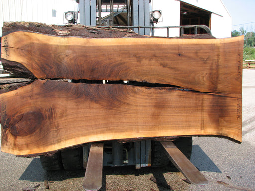 Walnut, American #7679(LA) 2-1/2" x 39" to 50" x 97" - FREE SHIPPING within the Contiguous US. freeshipping - Big Wood Slabs