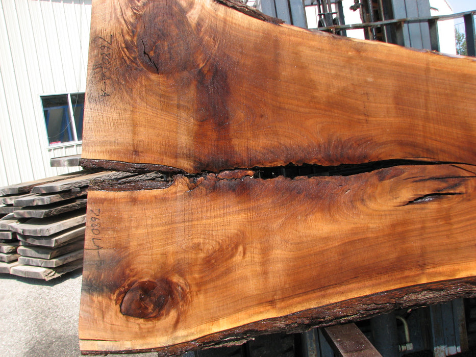 Walnut, American #76780(LA) 3" x 31" to 56" x 97" - FREE SHIPPING within the Contiguous US. freeshipping - Big Wood Slabs