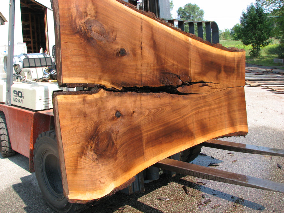 Walnut, American #7680(LA) 3" x 31" to 56" x 97" - FREE SHIPPING within the Contiguous US. freeshipping - Big Wood Slabs