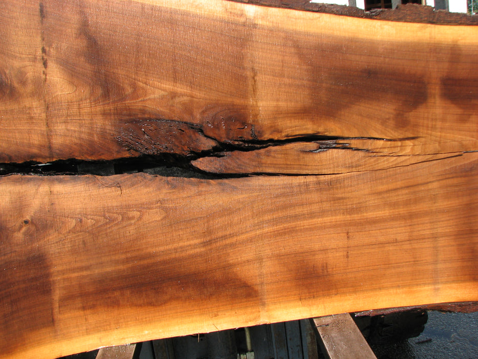 Walnut, American #7680(LA) 3" x 31" to 56" x 97" - FREE SHIPPING within the Contiguous US. freeshipping - Big Wood Slabs